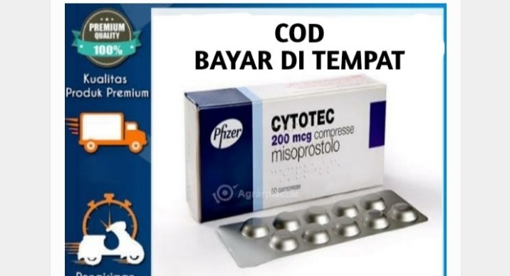 Jual Obat Aborsi Cytotec Purwakarta 082325790141 Klinik Jual Obat Penggugur Kandungan Di Purwakarta 