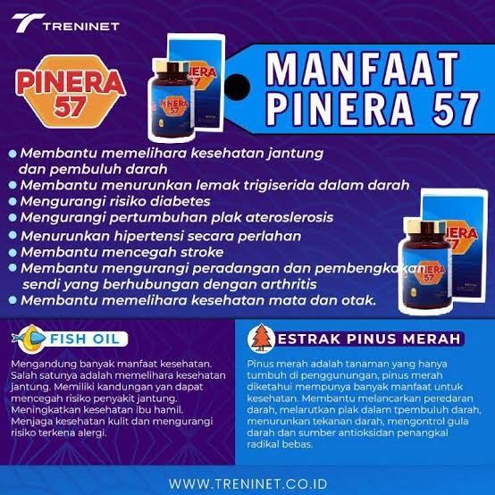 Obat Hipertensi 081333350331 Obat Kolesterol, Obat Pinera57 Original Obat Diabetes 