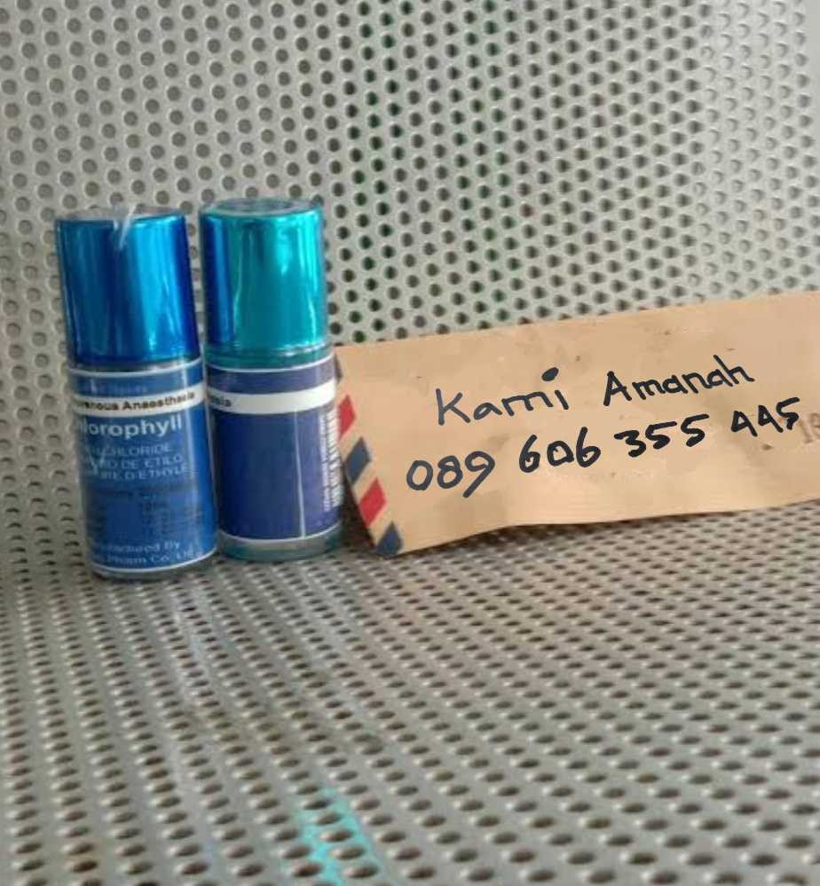 Jual Obat Bius 3 Merk Bengkulu 089606355445 Obat Tidur Asli Bengkulu